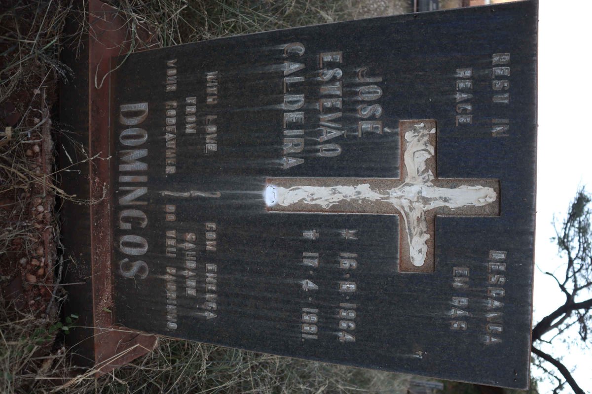 DOMINGOS Jose Estevao Caldeira 1964-1981