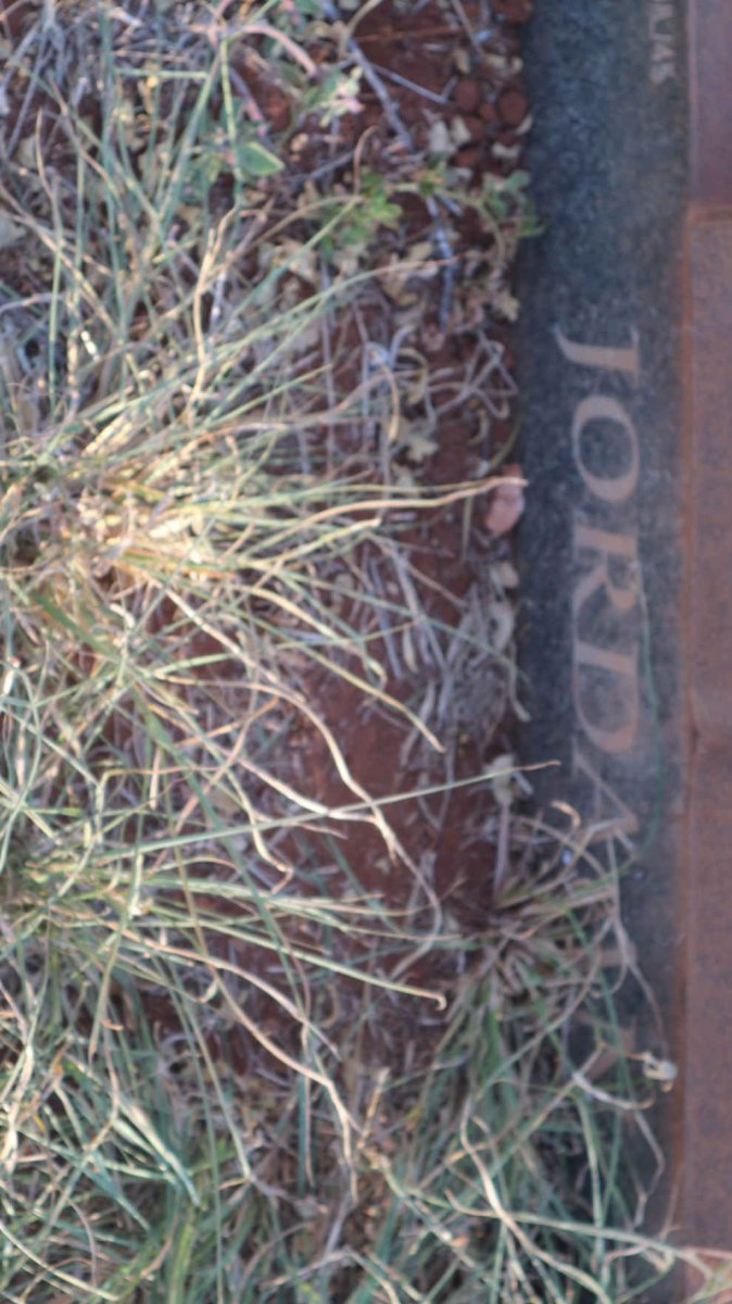 JORDAAN Jorrie 1916-2004