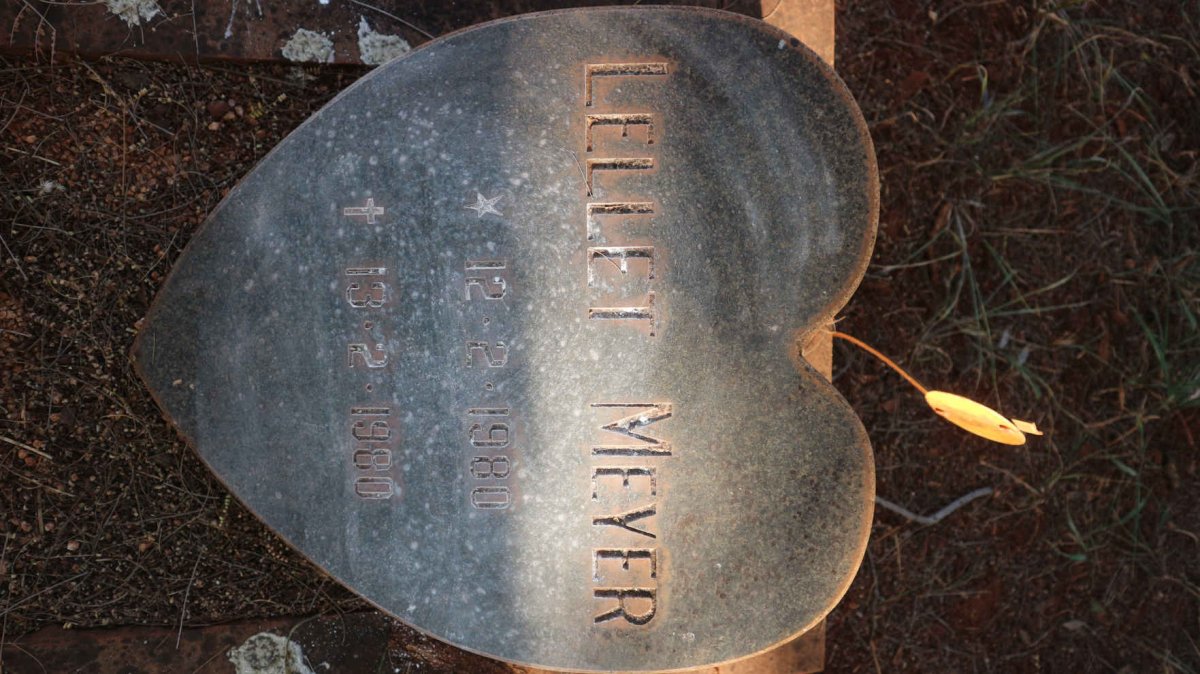 MEYER Lellet 1980-1980