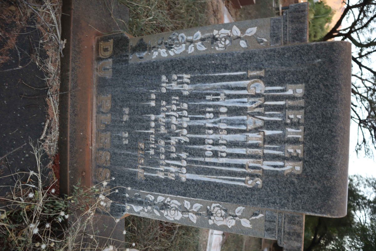PLESSIS Pieter Ignatius, du 1925-2001