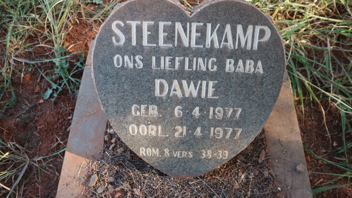 STEENEKAMP Dawie 1977-1977