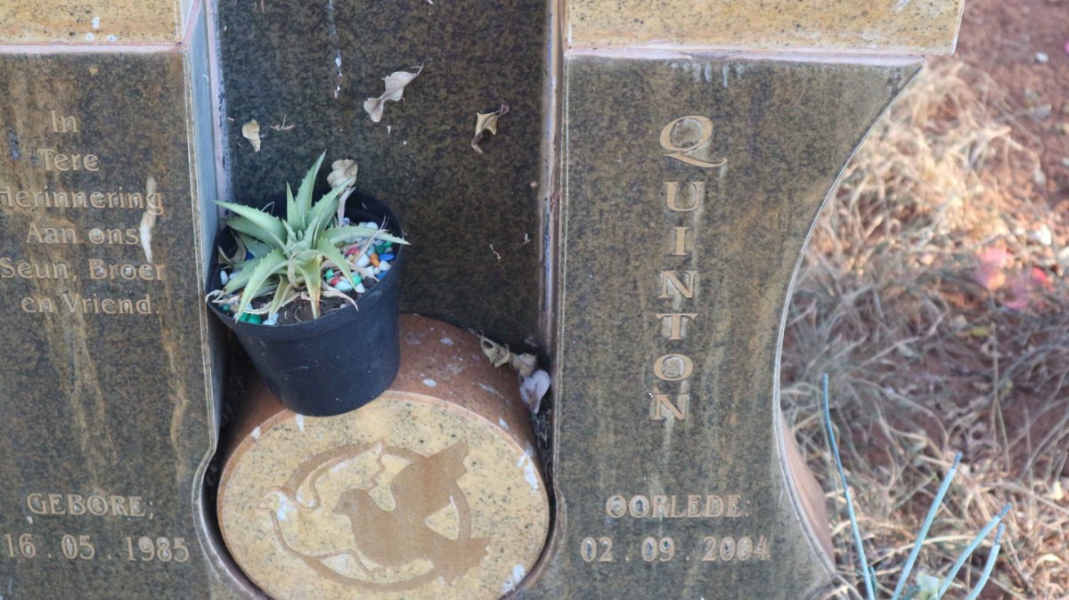 TOIT Quinton, du 1985-2004
