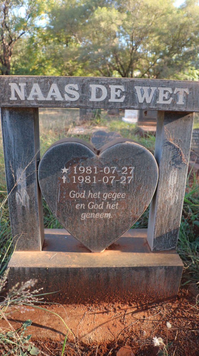 WET Naas, de 1981-1981
