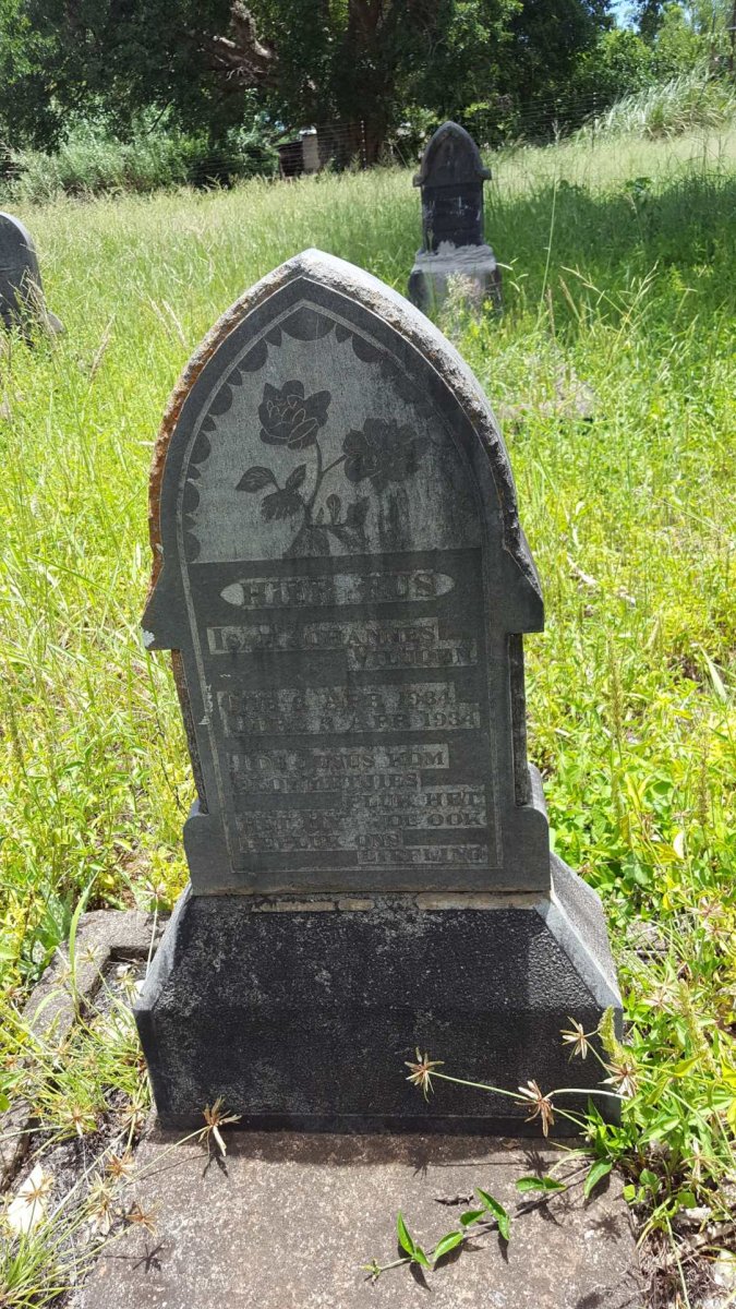 VILJOEN Isak Johannes 1934-1934