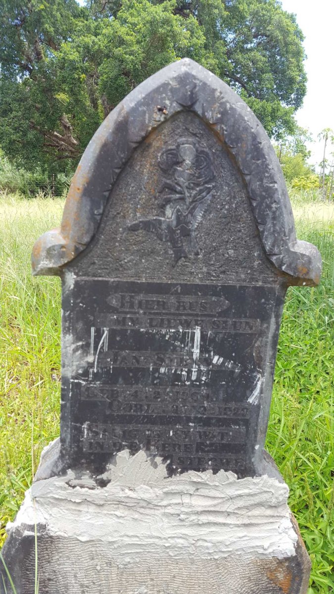 STEYN Jan 1909-1929