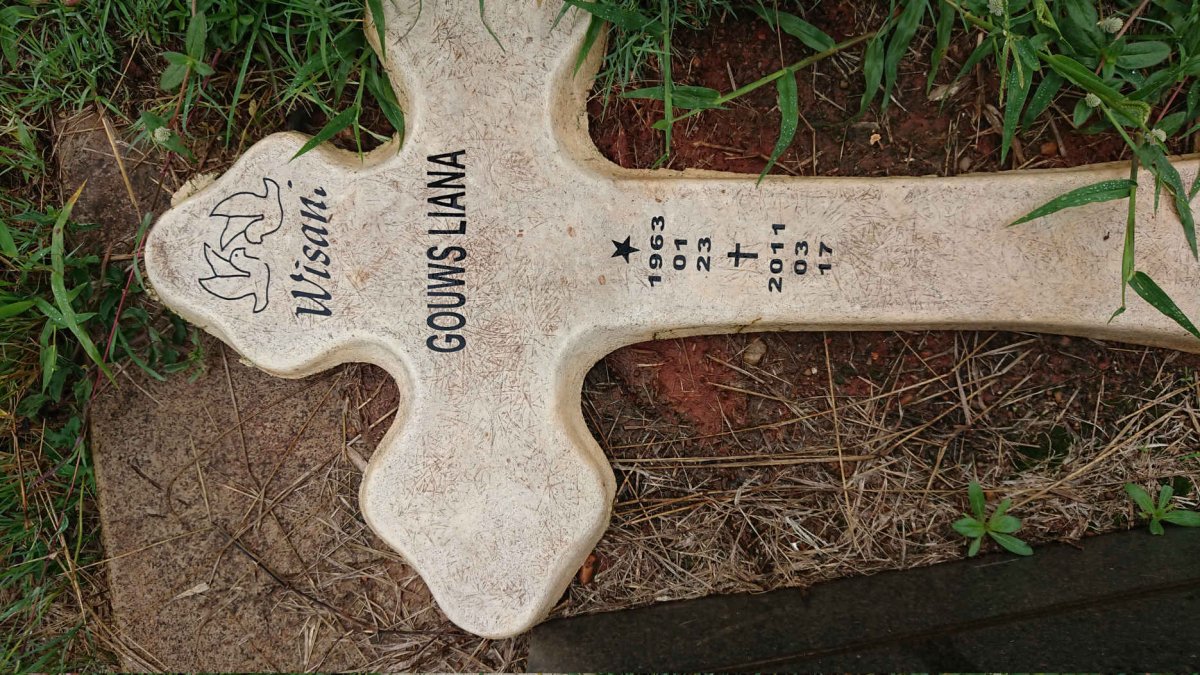 GOUWS Liana 1963-2011
