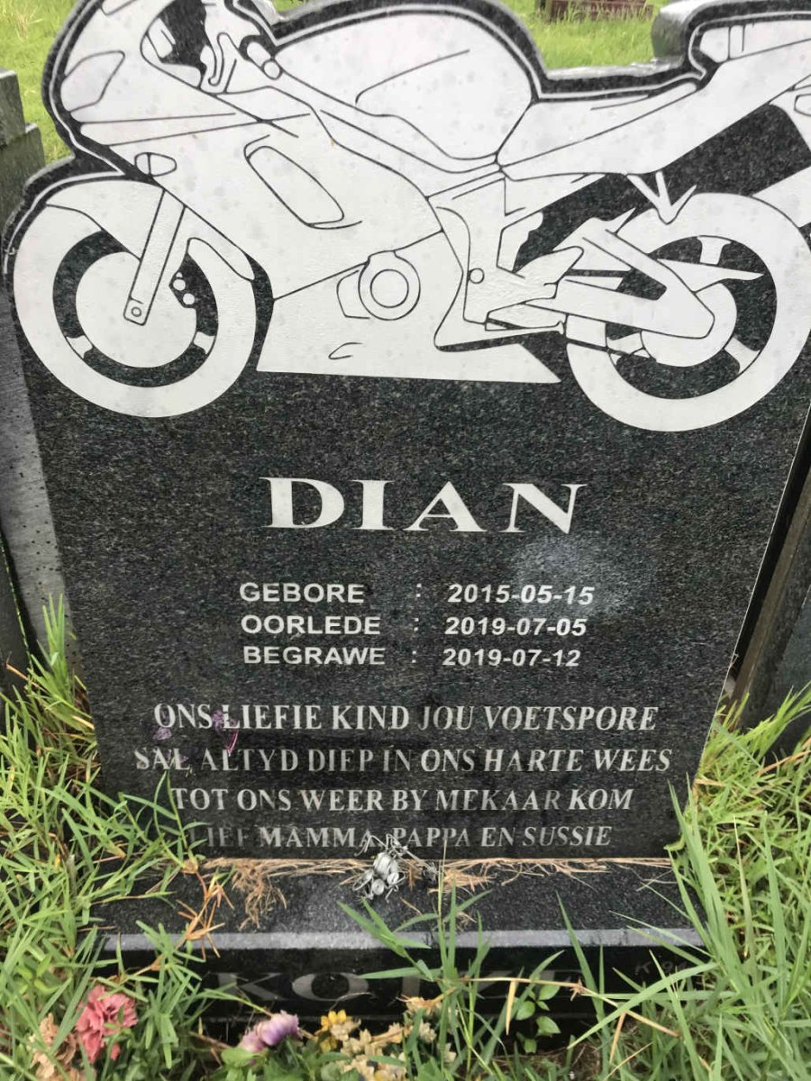 KOTZE Dian 2015-2019