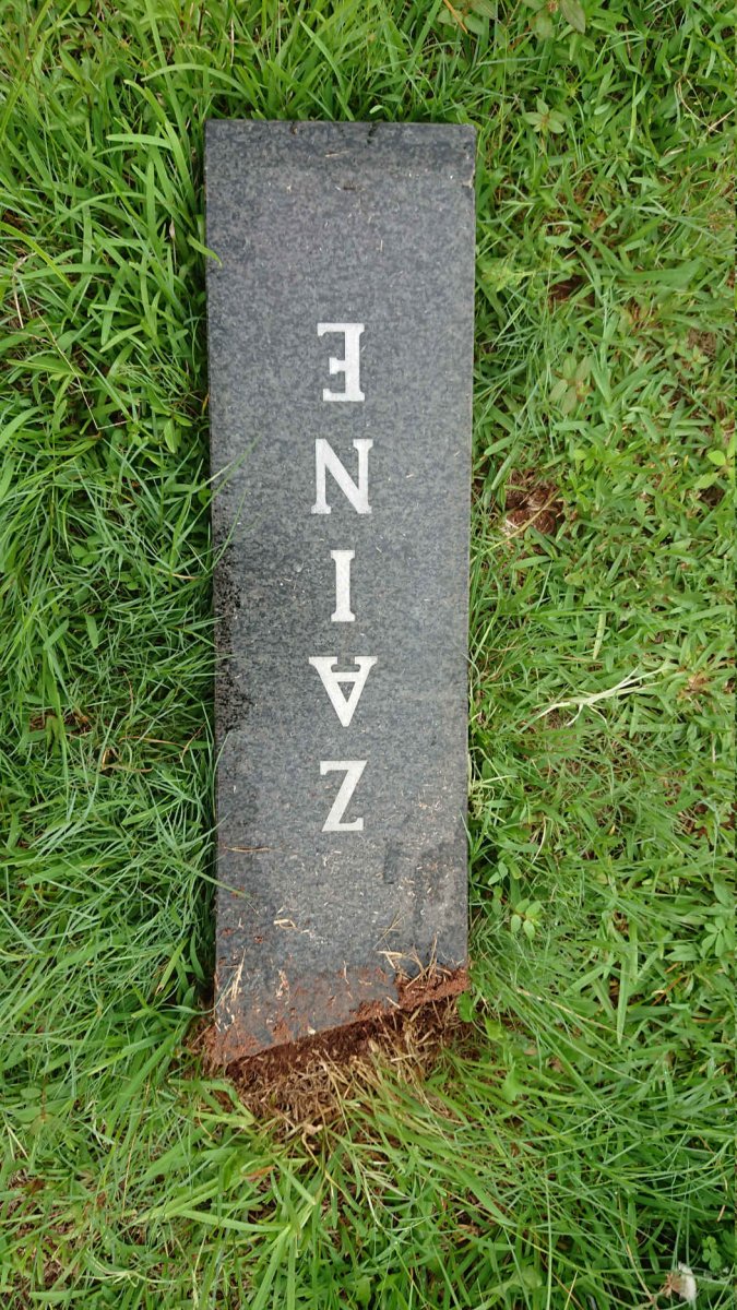 ROBBERTSE Zaine 1987-2004
