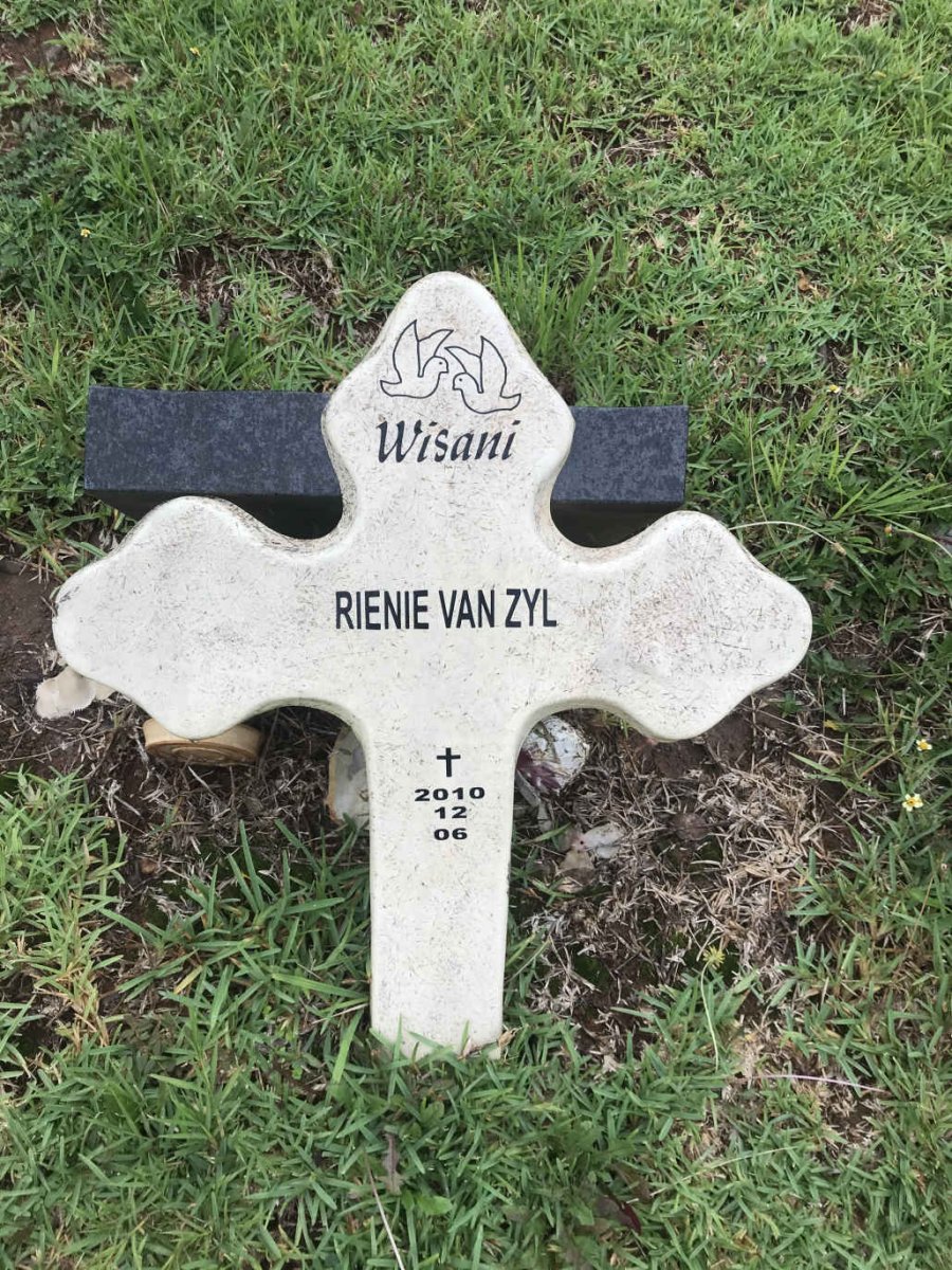 ZYL Rienie, van -2010