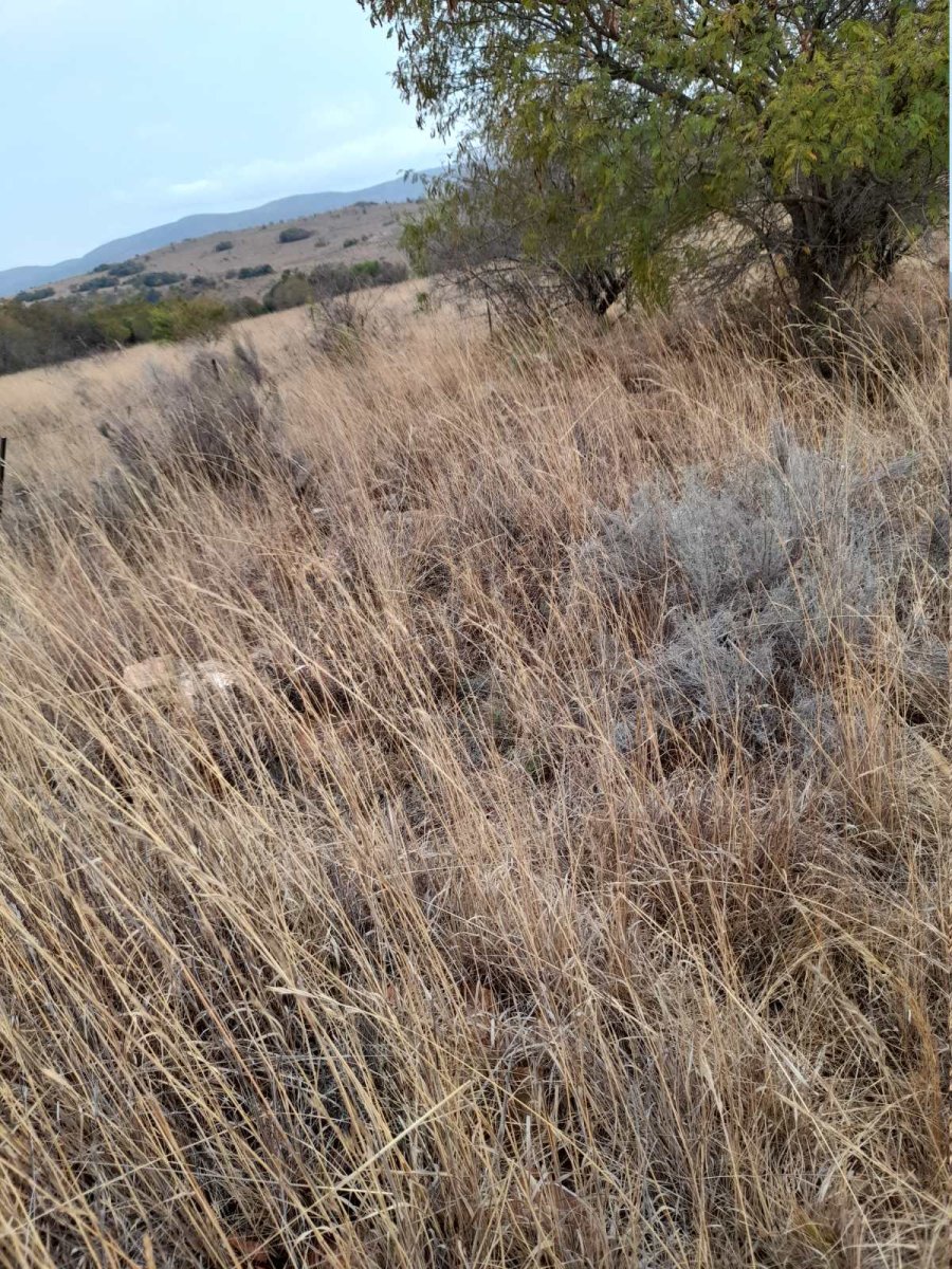 4. Overview of area / Oorsig van graf area