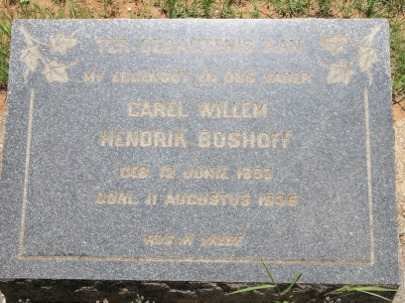 BOSHOFF Carel Willem Hendrik 1883-1936