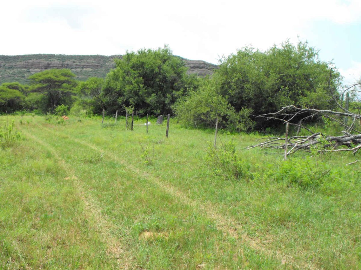 2. Oorsig / Overview