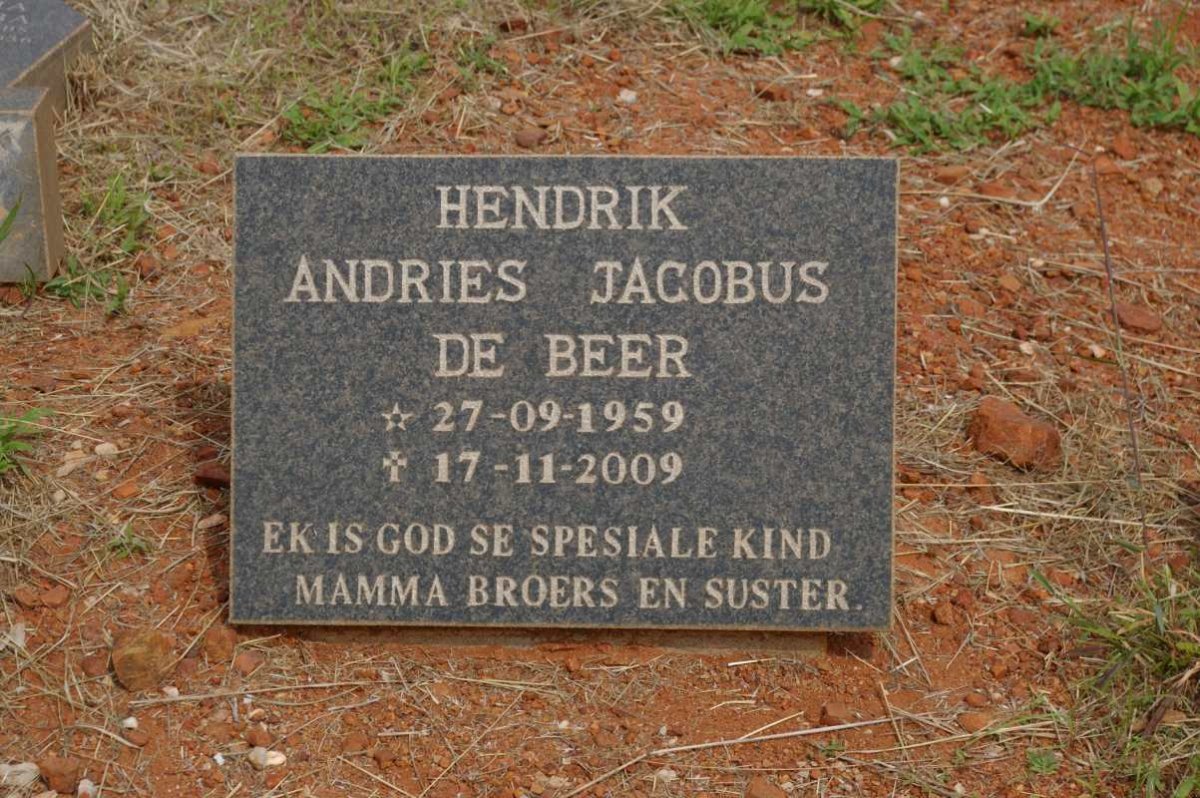 BEER Hendrik Andries Jacobus, de 1959-2009