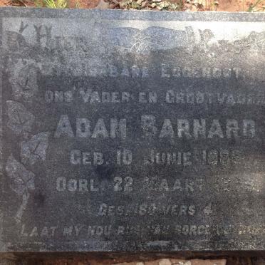 BARNARD Adam 1886-1959