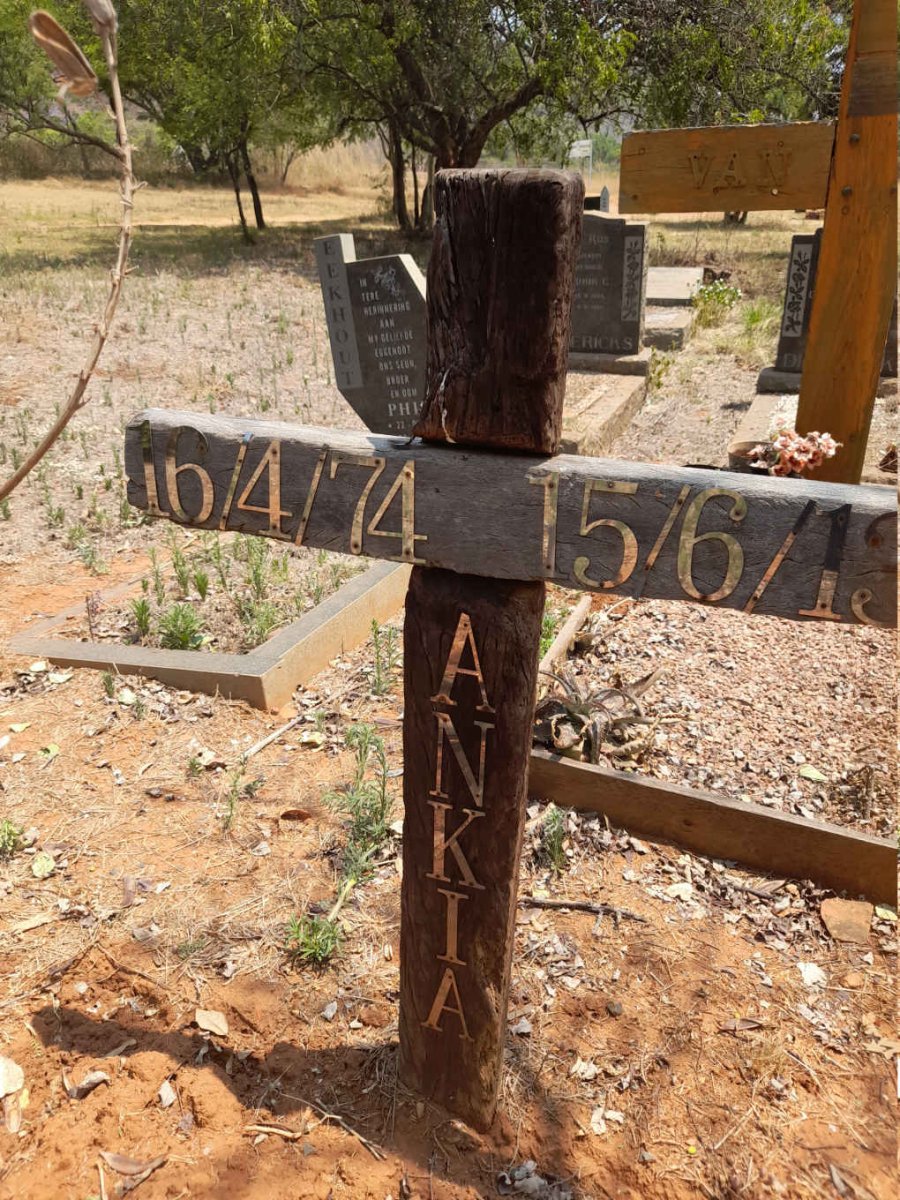 SMALL Ankia 1974-2013